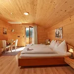 In- Out - Haus Stocker - Direkt An Der Skipiste By Schladmingurlaub