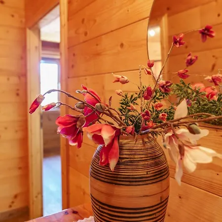 Apartment In- Out - Haus Stocker - Direkt An Der Skipiste By Schladmingurlaub Schladming