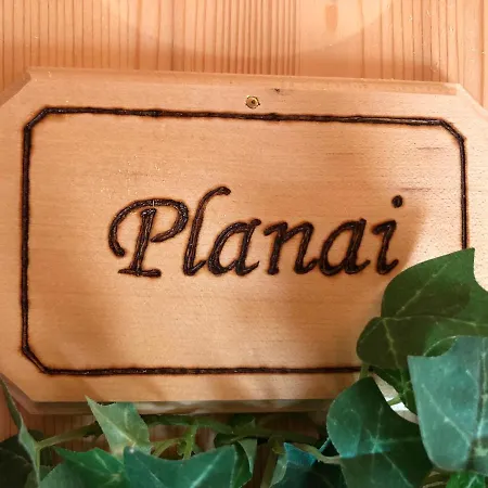 In- Out - Haus Stocker - Direkt An Der Skipiste By Schladmingurlaub Daire *