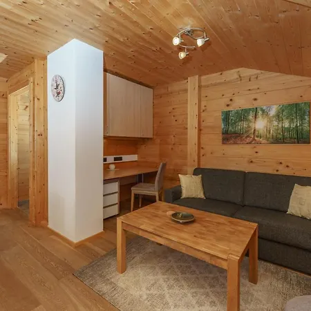 In- Out - Haus Stocker - Direkt An Der Skipiste By Schladmingurlaub