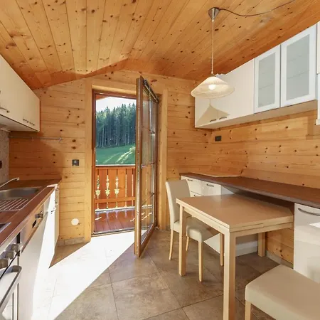 Apartment In- Out - Haus Stocker - Direkt An Der Skipiste By Schladmingurlaub Schladming