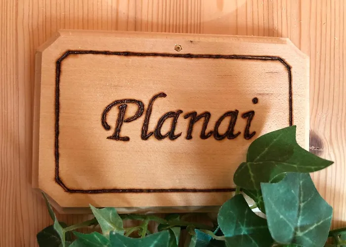 In- Out - Haus Stocker - Direkt An Der Skipiste By Schladmingurlaub Appartement *