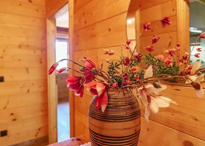 Appartement In- Out - Haus Stocker - Direkt An Der Skipiste By Schladmingurlaub Schladming