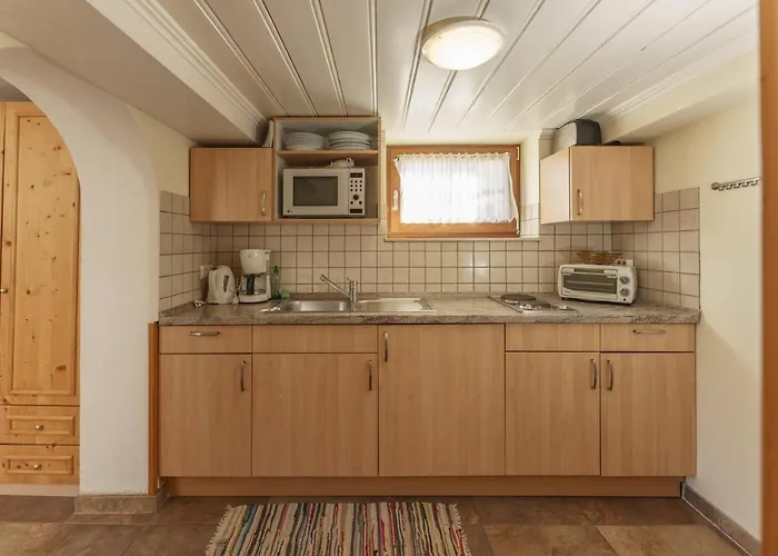 In- Out - Haus Stocker - Direkt An Der Skipiste By Schladmingurlaub Appartement *